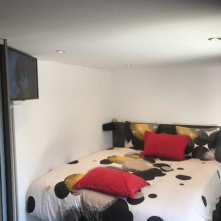 Majolaine Stade Apartment Meyzieu Ngoại thất bức ảnh