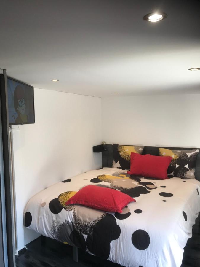 Majolaine Stade Apartment Meyzieu Ngoại thất bức ảnh